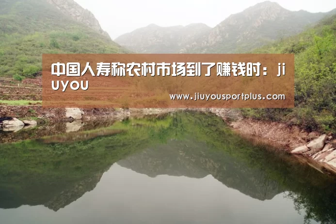 中国人寿称农村市场到了赚钱时:jiuyou(图3) 九游网页版官网
