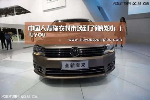 中国人寿称农村市场到了赚钱时：jiuyou