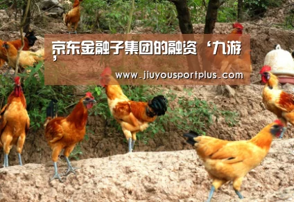 京东金融子集团的融资‘九游’