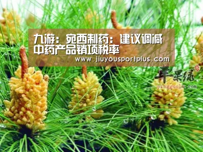 九游网页版官网