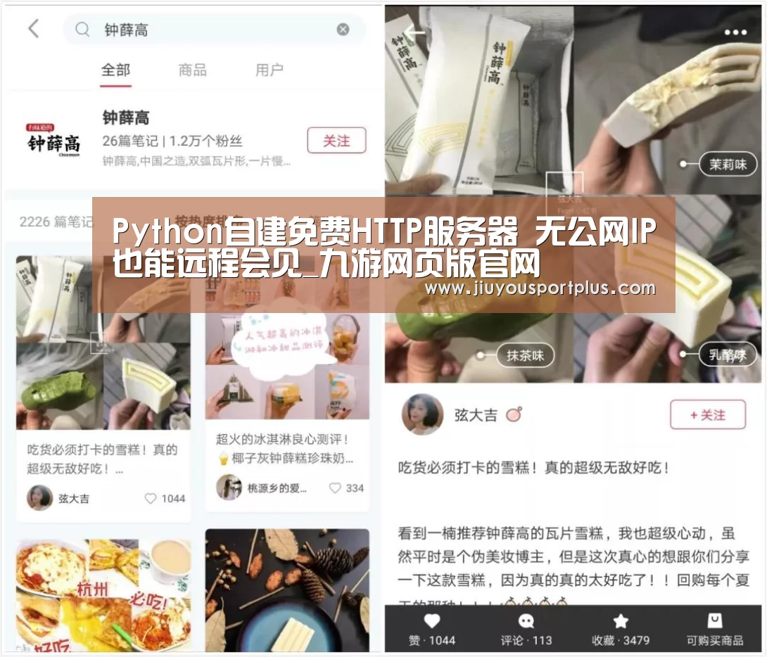 
Python自建免费HTTP服务器 无公网IP也能远程会见_九游网页版官网(图3)